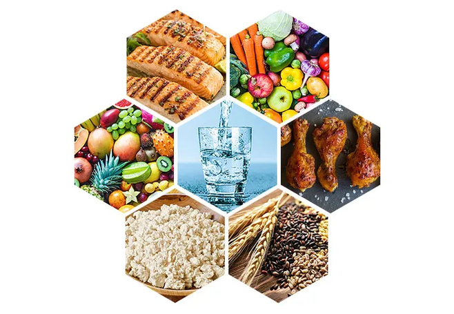 Dietary menu of the 6 petals