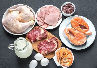 The protein diet slimming